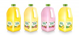 Fruit Nectar 2L with pinapple flavor