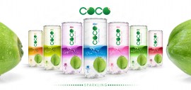 Sparking coconut water with kiwi flavor 250ml Pet can