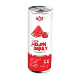 1577016386-watermelon-rita-berry-rita-juice-rita-