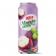 Real Best Fruit to Mangosteen Juice Drink 490ml Cans